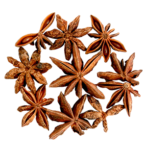 badiane-fruits-l-herbier-de-france badiane-fruits-l-herbier-de-france