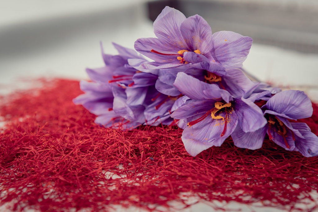 Safran Bio Iran Fleurs Et Stigmates Safran Bio Iran Fleurs Et Stigmates
