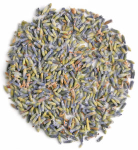 Arcadie lavande fleurs bio