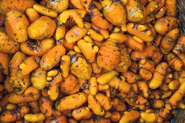 Filiere Curcuma Gingembre Bio Cook Madagascar Arcadie Filiere Curcuma Gingembre Bio Cook Madagascar Arcadie