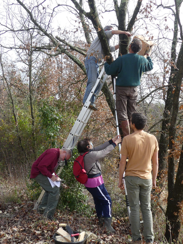 installation des nichoirs