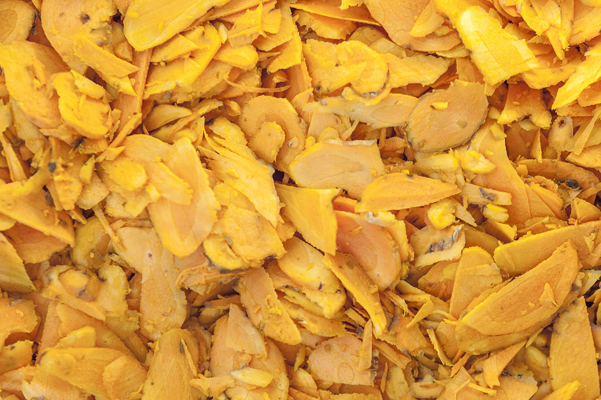 Tranches fraiches curcuma photo Samuel Avril 1200x800 Tranches fraiches curcuma photo Samuel Avril 1200x800