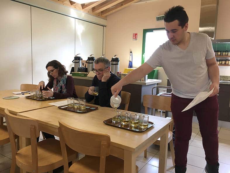 Dégustation de thym en infusion à Arcadie