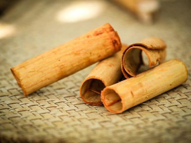 cannelle bâton cannelle bâton
