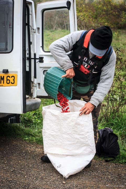 CYNO-22 Medhi met le cynorrhodon dans un sac pour l'apporter chez lui