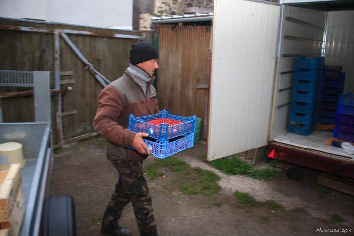CYNO-26 Puis il les met au séchoir : un caisson ventilé