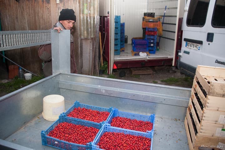 De retour chez lui, Medhi étale les fruits dans des cagettes” De retour chez lui, Medhi étale les fruits dans des cagettes”