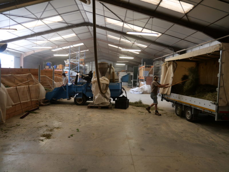 20 20220512 battage déchets jetés 2 battage