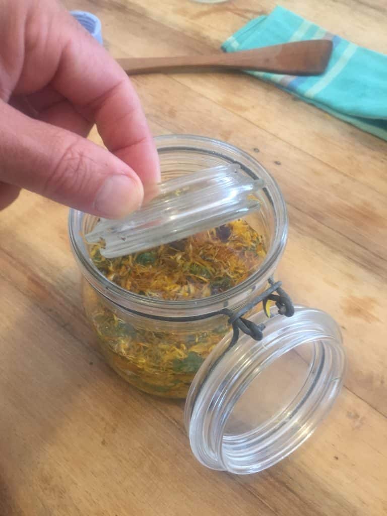 extrait-alcoolique-deplante Ce couvercle de bocal de conserve va jouer le rôle de poids pour bien immerger les plantes.