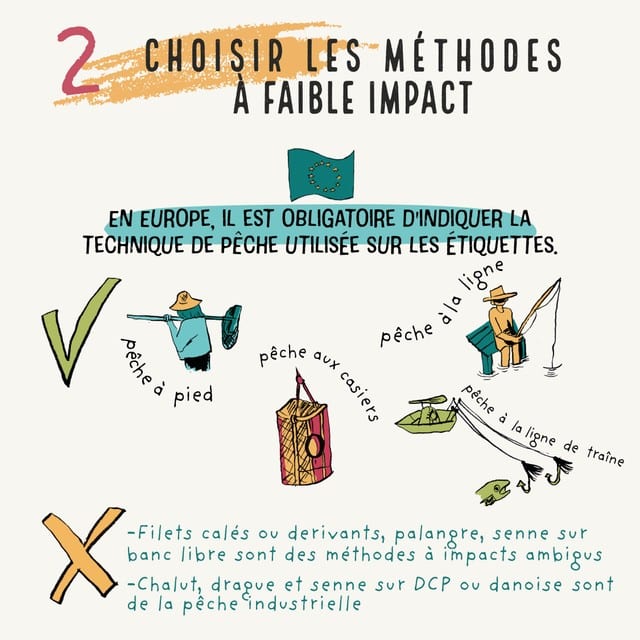 poisson responsable via pêche à faible impact Pêche à faible impact