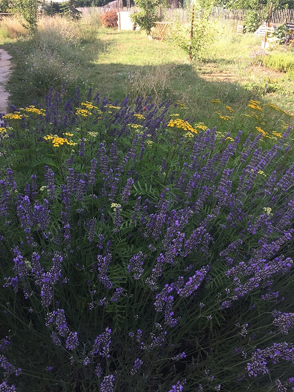PAM_au_jardin_IMG_1761