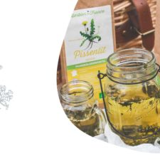 Tisane-reminéralisante-photo-delphinepocard Tisane remineralisante à l'ortie, fenouil et pissenlit