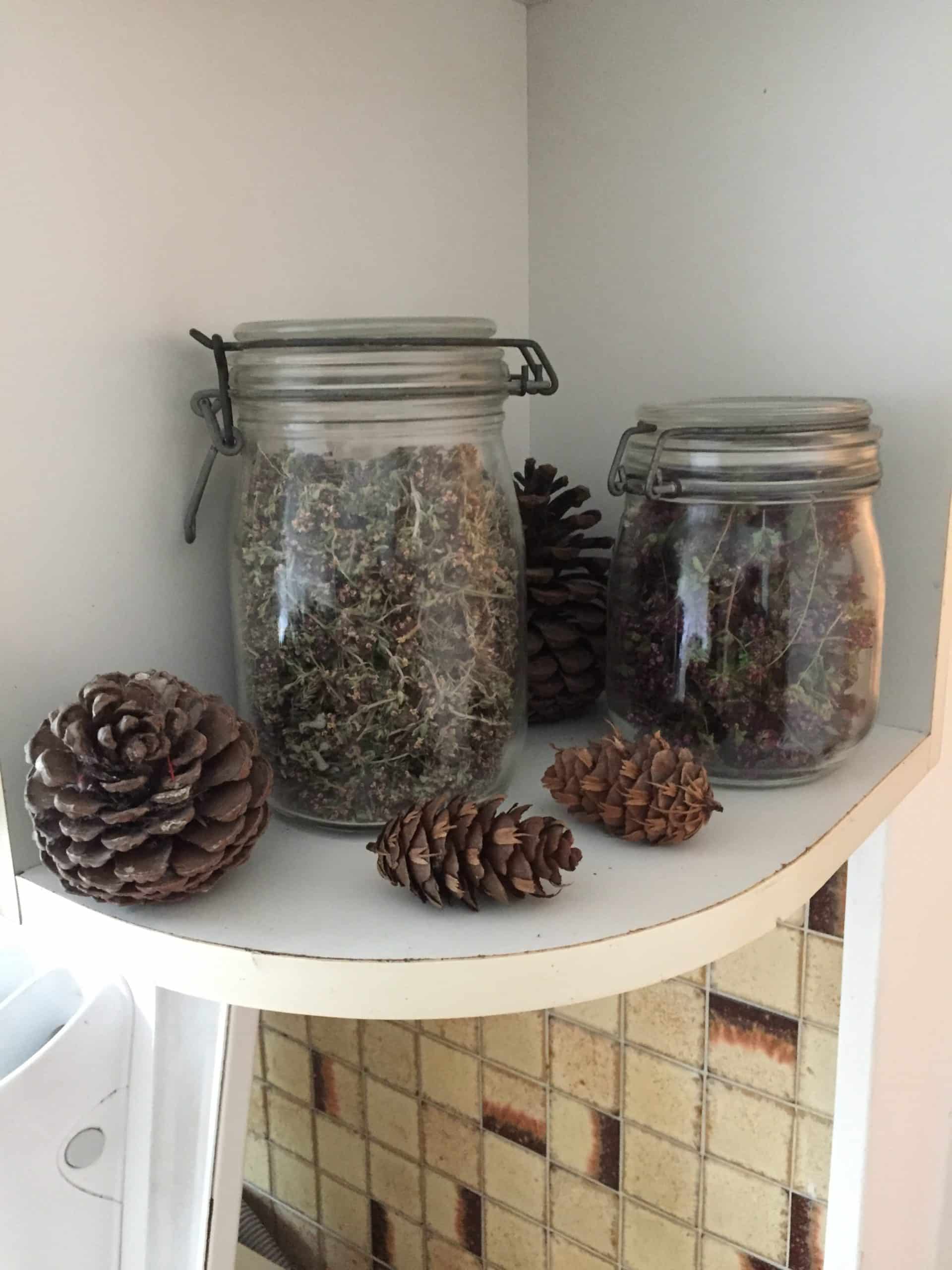 Plantes bocaux verre étagères Que ce soit dans votre cuisine ou ailleurs, préférez un placard à une étagère pour stocker vos PAM, pour éviter la lumière. Sauf si vous les consommez très rapidement.