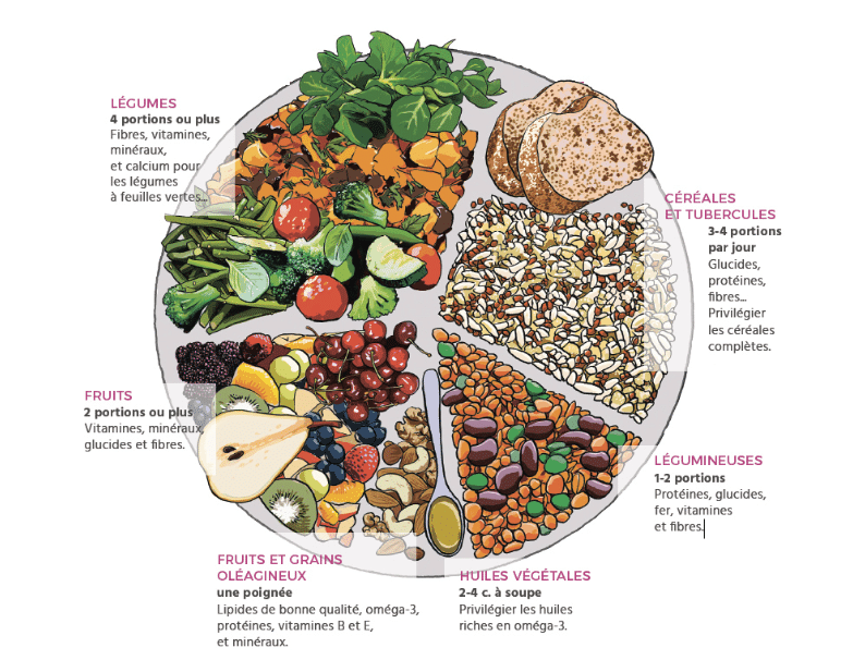 assiette végétale type