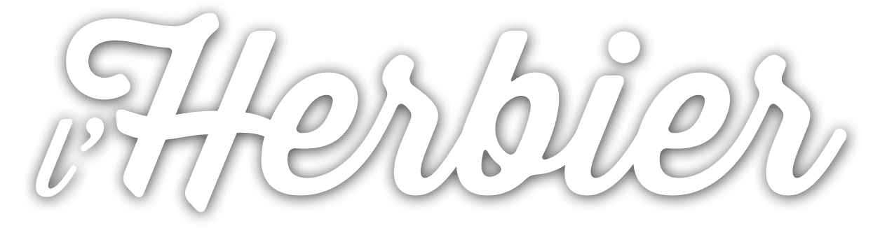 2024 LHERBIER Logo blanc sans baseline ombre portée 2024 LHERBIER Logo blanc sans baseline ombre portée