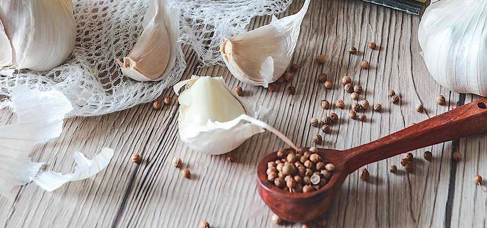 graine de coriandre pour article Graines de coriandre en cuisine