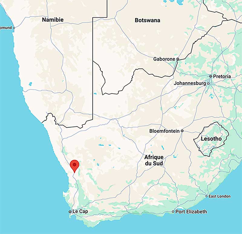 Filiere rooibos carte situation