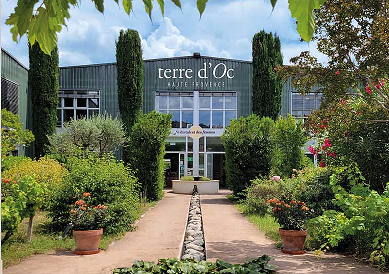 Filiere rooibos locaux terre doc