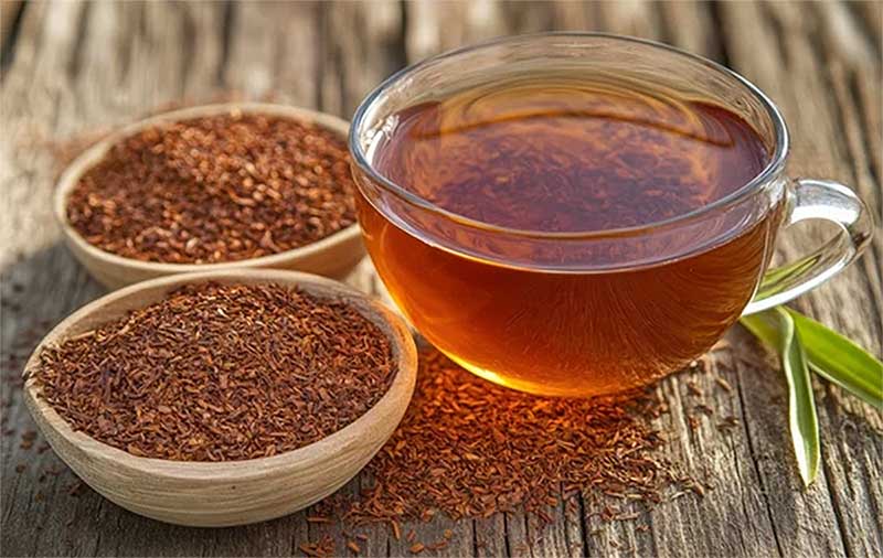 Filiere rooibos tisane rooibos