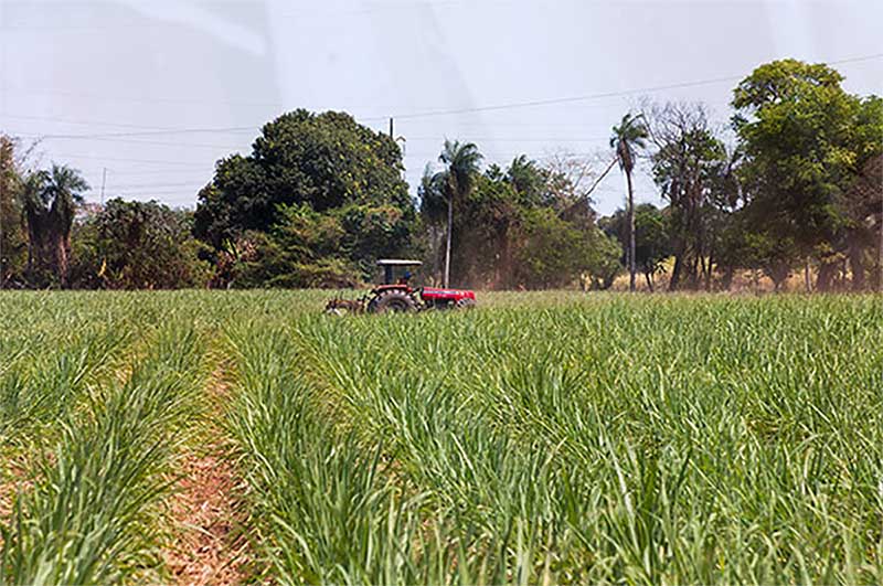 Filiere sucre pronatec culture sucre tracteur